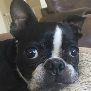 Meet your Posher, Sherry